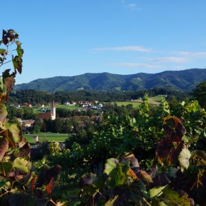 Blick auf Eibiswald und Grenzkamm