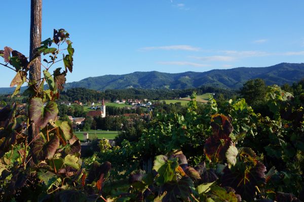 Blick auf Eibiswald und Grenzkamm Blick auf Eibiswald und Grenzkamm