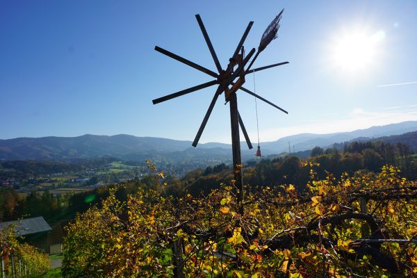 Blick uber Weinberg in Richtung Grenzkamm Blick uber Weinberg in Richtung Grenzkamm