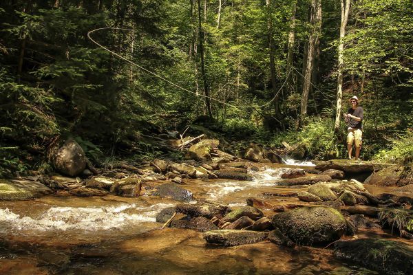 Fliegenfischen mit Wolfgang Heusserer Fliegenfischen mit Wolfgang Heusserer