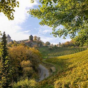 Burg Deutschlandsberg von Weinbergen umgeben