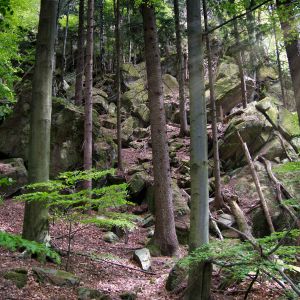 Eklogit Felsen in Wielfresen   Schilcherland