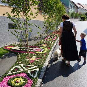 Fronleichnahm   Blumenteppiche in Eibiswald entlang der Strasse