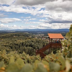 Weinbergwarte in Bad Gams