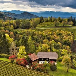 Weinregion Sud Weststeiermark   Schilcherland   Sudweststeirisches Haus