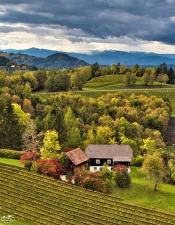 Weinregion Sud Weststeiermark   Schilcherland   Sudweststeirisches Haus Weinregion Sud Weststeiermark   Schilcherland   Sudweststeirisches Haus