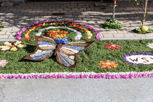 fronleichnam heim 2024   fronleichnam heim 2024