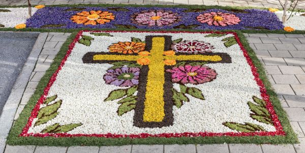 fronleichnam heim 2024   fronleichnam heim 2024